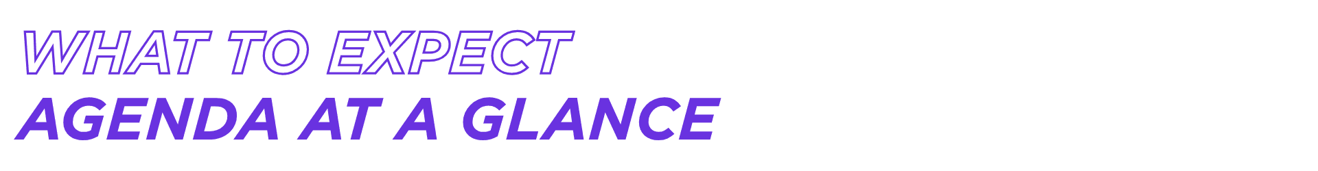 What to Expect, Agenda at a Glance
